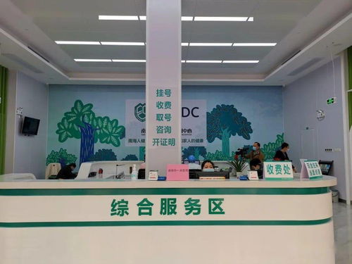 大瀝預(yù)防保健門診正式揭牌 夯實基層健康防線，推動全鎮(zhèn)基本公共衛(wèi)生服務(wù)再上新臺階